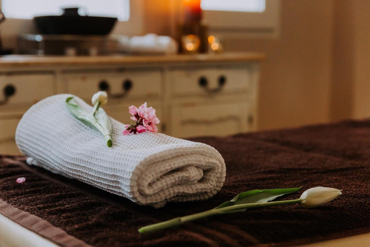 Willa Sepia Spa ヴィスワ エクステリア 写真